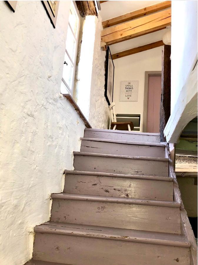 Le Gite De La Maison Des Chats - Gite En Quercy Saint-Amans-du-Pech 外观 照片