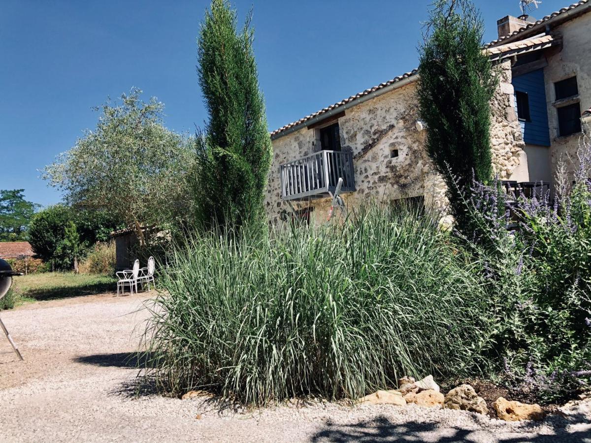Le Gite De La Maison Des Chats - Gite En Quercy Saint-Amans-du-Pech 外观 照片