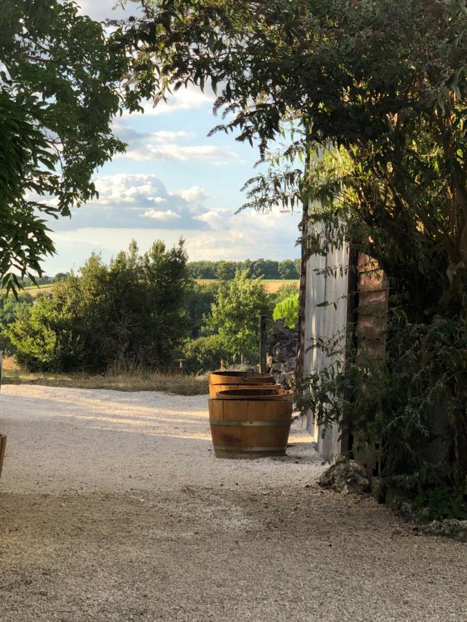Le Gite De La Maison Des Chats - Gite En Quercy Saint-Amans-du-Pech 外观 照片