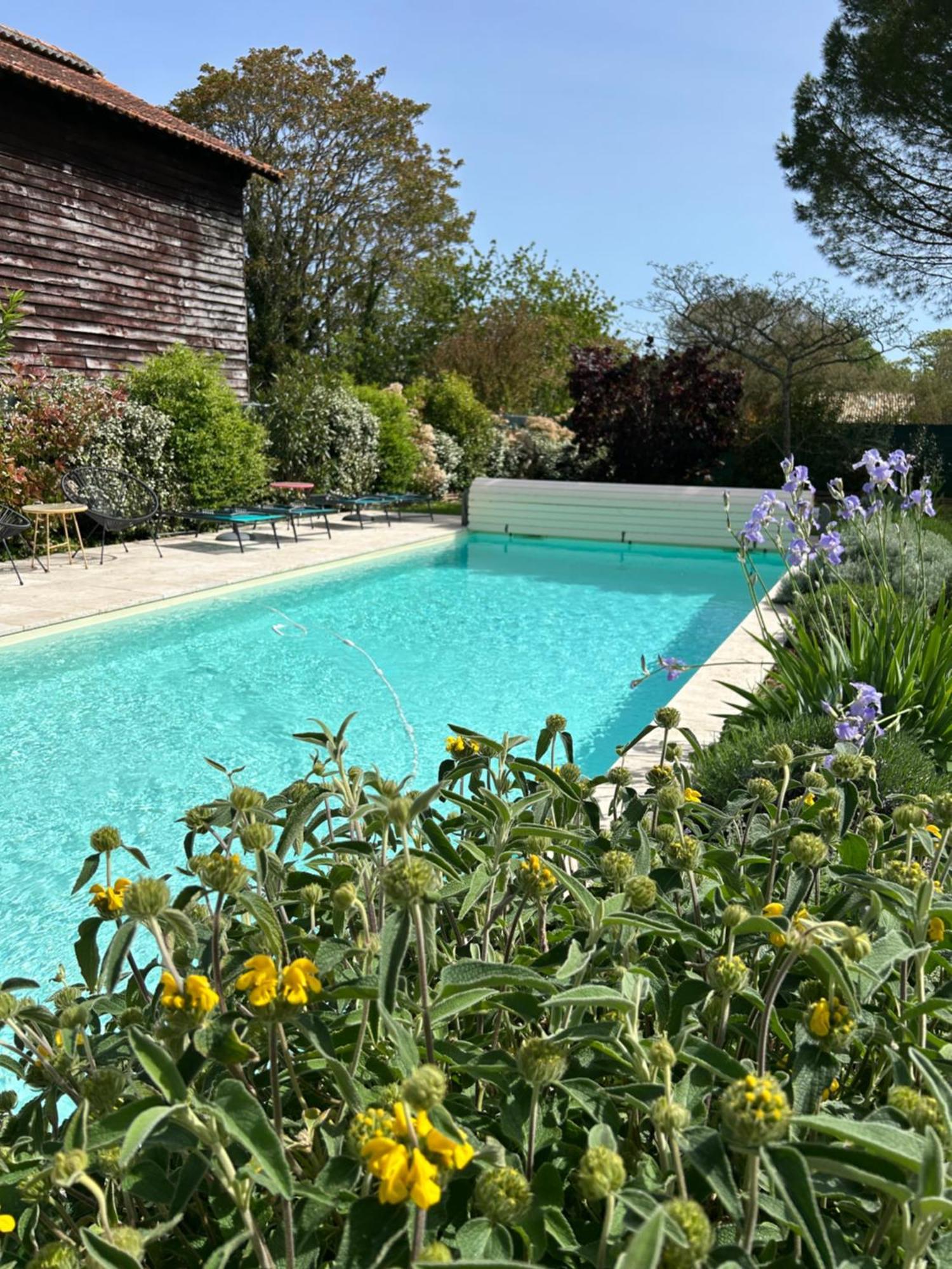 Le Gite De La Maison Des Chats - Gite En Quercy Saint-Amans-du-Pech 外观 照片
